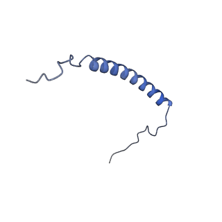 34373_8gym_SC_v1-0
Cryo-EM structure of Tetrahymena thermophila respiratory mega-complex MC IV2+(I+III2+II)2