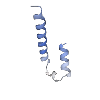 34373_8gym_SD_v1-0
Cryo-EM structure of Tetrahymena thermophila respiratory mega-complex MC IV2+(I+III2+II)2