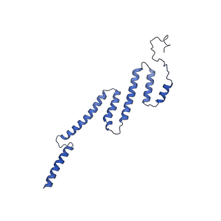 34373_8gym_S_v1-0
Cryo-EM structure of Tetrahymena thermophila respiratory mega-complex MC IV2+(I+III2+II)2