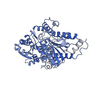 34373_8gym_T1_v1-0
Cryo-EM structure of Tetrahymena thermophila respiratory mega-complex MC IV2+(I+III2+II)2