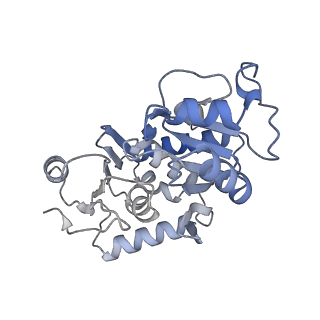 34373_8gym_T2_v1-0
Cryo-EM structure of Tetrahymena thermophila respiratory mega-complex MC IV2+(I+III2+II)2