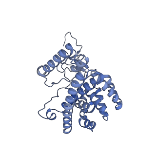 34373_8gym_T3_v1-0
Cryo-EM structure of Tetrahymena thermophila respiratory mega-complex MC IV2+(I+III2+II)2