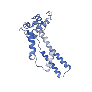 34373_8gym_T4_v1-0
Cryo-EM structure of Tetrahymena thermophila respiratory mega-complex MC IV2+(I+III2+II)2