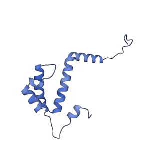 34373_8gym_T6_v1-0
Cryo-EM structure of Tetrahymena thermophila respiratory mega-complex MC IV2+(I+III2+II)2