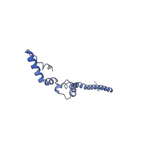 34373_8gym_T8_v1-0
Cryo-EM structure of Tetrahymena thermophila respiratory mega-complex MC IV2+(I+III2+II)2