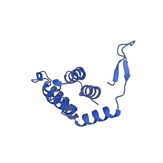 34373_8gym_T9_v1-0
Cryo-EM structure of Tetrahymena thermophila respiratory mega-complex MC IV2+(I+III2+II)2