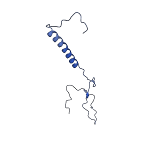 34373_8gym_TB_v1-0
Cryo-EM structure of Tetrahymena thermophila respiratory mega-complex MC IV2+(I+III2+II)2