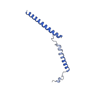 34373_8gym_TC_v1-0
Cryo-EM structure of Tetrahymena thermophila respiratory mega-complex MC IV2+(I+III2+II)2