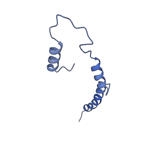 34373_8gym_TD_v1-0
Cryo-EM structure of Tetrahymena thermophila respiratory mega-complex MC IV2+(I+III2+II)2
