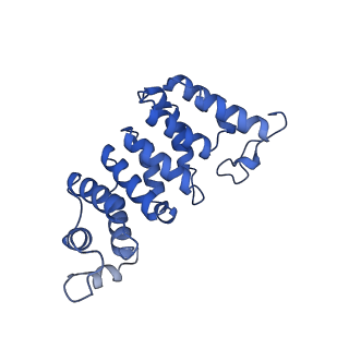 34373_8gym_TF_v1-0
Cryo-EM structure of Tetrahymena thermophila respiratory mega-complex MC IV2+(I+III2+II)2