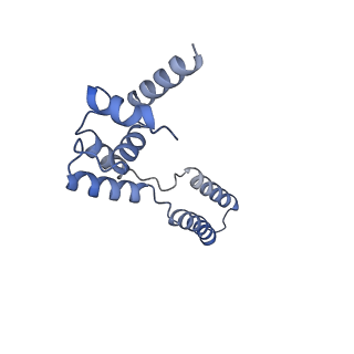 34373_8gym_TG_v1-0
Cryo-EM structure of Tetrahymena thermophila respiratory mega-complex MC IV2+(I+III2+II)2