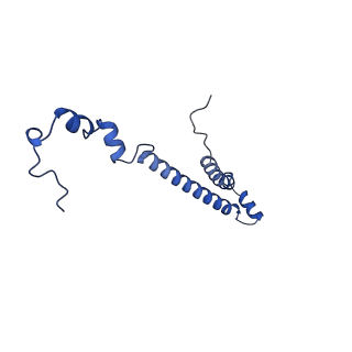 34373_8gym_TH_v1-0
Cryo-EM structure of Tetrahymena thermophila respiratory mega-complex MC IV2+(I+III2+II)2