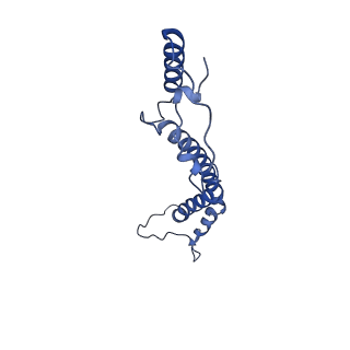 34373_8gym_T_v1-0
Cryo-EM structure of Tetrahymena thermophila respiratory mega-complex MC IV2+(I+III2+II)2