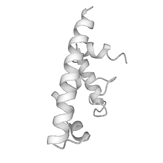 34373_8gym_U1_v1-0
Cryo-EM structure of Tetrahymena thermophila respiratory mega-complex MC IV2+(I+III2+II)2