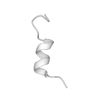 34373_8gym_U2_v1-0
Cryo-EM structure of Tetrahymena thermophila respiratory mega-complex MC IV2+(I+III2+II)2