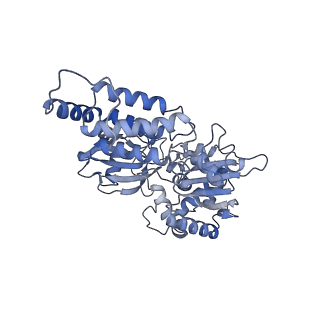 34373_8gym_V1_v1-0
Cryo-EM structure of Tetrahymena thermophila respiratory mega-complex MC IV2+(I+III2+II)2