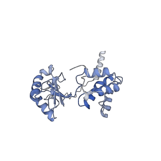 34373_8gym_V2_v1-0
Cryo-EM structure of Tetrahymena thermophila respiratory mega-complex MC IV2+(I+III2+II)2