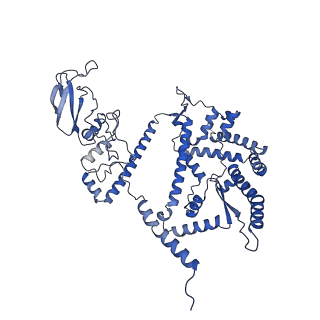34373_8gym_VB_v1-0
Cryo-EM structure of Tetrahymena thermophila respiratory mega-complex MC IV2+(I+III2+II)2