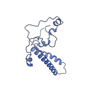 34373_8gym_X1_v1-0
Cryo-EM structure of Tetrahymena thermophila respiratory mega-complex MC IV2+(I+III2+II)2