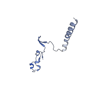 34373_8gym_Y0_v1-0
Cryo-EM structure of Tetrahymena thermophila respiratory mega-complex MC IV2+(I+III2+II)2