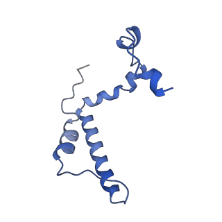 34373_8gym_Z_v1-0
Cryo-EM structure of Tetrahymena thermophila respiratory mega-complex MC IV2+(I+III2+II)2