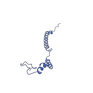 34373_8gym_a1_v1-0
Cryo-EM structure of Tetrahymena thermophila respiratory mega-complex MC IV2+(I+III2+II)2