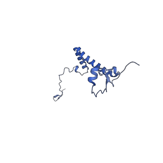 34373_8gym_a3_v1-0
Cryo-EM structure of Tetrahymena thermophila respiratory mega-complex MC IV2+(I+III2+II)2