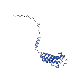 34373_8gym_a5_v1-0
Cryo-EM structure of Tetrahymena thermophila respiratory mega-complex MC IV2+(I+III2+II)2