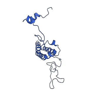 34373_8gym_a6_v1-0
Cryo-EM structure of Tetrahymena thermophila respiratory mega-complex MC IV2+(I+III2+II)2