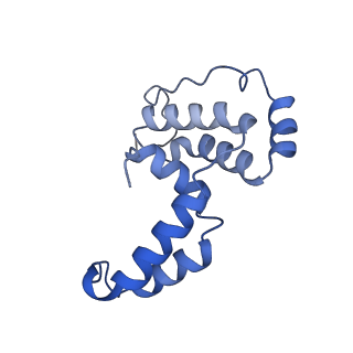 34373_8gym_a8_v1-0
Cryo-EM structure of Tetrahymena thermophila respiratory mega-complex MC IV2+(I+III2+II)2