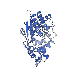 34373_8gym_a9_v1-0
Cryo-EM structure of Tetrahymena thermophila respiratory mega-complex MC IV2+(I+III2+II)2