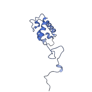 34373_8gym_ab_v1-0
Cryo-EM structure of Tetrahymena thermophila respiratory mega-complex MC IV2+(I+III2+II)2