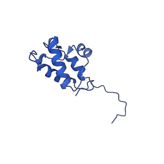 34373_8gym_ac_v1-0
Cryo-EM structure of Tetrahymena thermophila respiratory mega-complex MC IV2+(I+III2+II)2