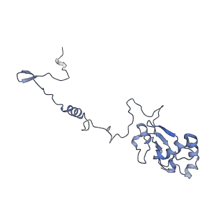 34373_8gym_al_v1-0
Cryo-EM structure of Tetrahymena thermophila respiratory mega-complex MC IV2+(I+III2+II)2