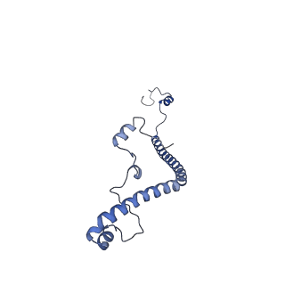 34373_8gym_am_v1-0
Cryo-EM structure of Tetrahymena thermophila respiratory mega-complex MC IV2+(I+III2+II)2