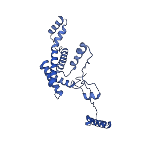 34373_8gym_an_v1-0
Cryo-EM structure of Tetrahymena thermophila respiratory mega-complex MC IV2+(I+III2+II)2