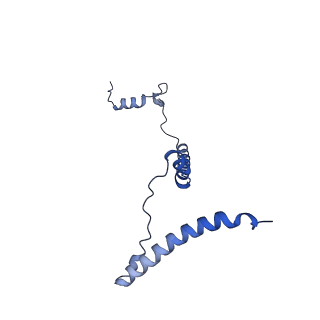 34373_8gym_b2_v1-0
Cryo-EM structure of Tetrahymena thermophila respiratory mega-complex MC IV2+(I+III2+II)2