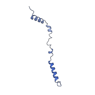 34373_8gym_b3_v1-0
Cryo-EM structure of Tetrahymena thermophila respiratory mega-complex MC IV2+(I+III2+II)2