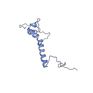 34373_8gym_b4_v1-0
Cryo-EM structure of Tetrahymena thermophila respiratory mega-complex MC IV2+(I+III2+II)2