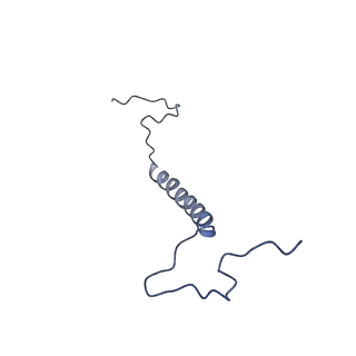34373_8gym_b6_v1-0
Cryo-EM structure of Tetrahymena thermophila respiratory mega-complex MC IV2+(I+III2+II)2