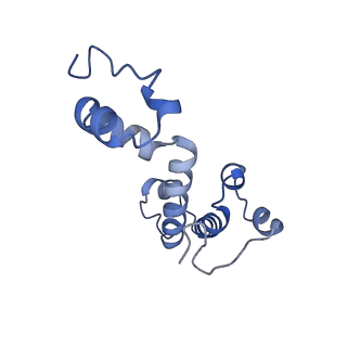 34373_8gym_b7_v1-0
Cryo-EM structure of Tetrahymena thermophila respiratory mega-complex MC IV2+(I+III2+II)2