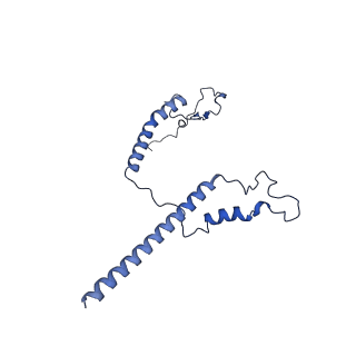 34373_8gym_b8_v1-0
Cryo-EM structure of Tetrahymena thermophila respiratory mega-complex MC IV2+(I+III2+II)2