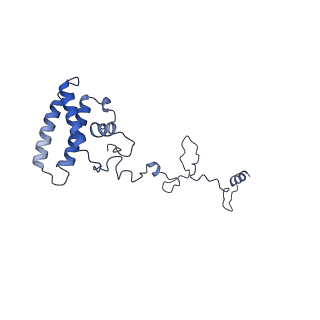 34373_8gym_b9_v1-0
Cryo-EM structure of Tetrahymena thermophila respiratory mega-complex MC IV2+(I+III2+II)2