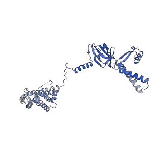 34373_8gym_b_v1-0
Cryo-EM structure of Tetrahymena thermophila respiratory mega-complex MC IV2+(I+III2+II)2