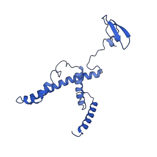 34373_8gym_bl_v1-0
Cryo-EM structure of Tetrahymena thermophila respiratory mega-complex MC IV2+(I+III2+II)2