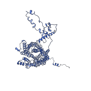 34373_8gym_c1_v1-0
Cryo-EM structure of Tetrahymena thermophila respiratory mega-complex MC IV2+(I+III2+II)2