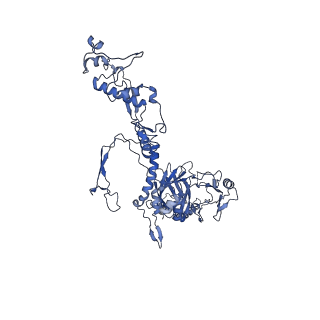 34373_8gym_c2_v1-0
Cryo-EM structure of Tetrahymena thermophila respiratory mega-complex MC IV2+(I+III2+II)2