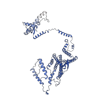 34373_8gym_c3_v1-0
Cryo-EM structure of Tetrahymena thermophila respiratory mega-complex MC IV2+(I+III2+II)2