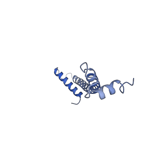 34373_8gym_c4_v1-0
Cryo-EM structure of Tetrahymena thermophila respiratory mega-complex MC IV2+(I+III2+II)2