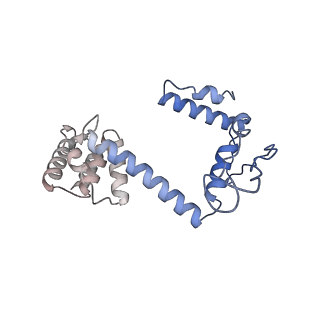 34373_8gym_c_v1-0
Cryo-EM structure of Tetrahymena thermophila respiratory mega-complex MC IV2+(I+III2+II)2